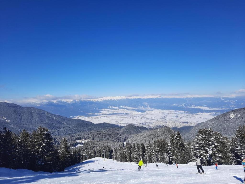 Apartments In Aspen Suites Bansko Rum bild